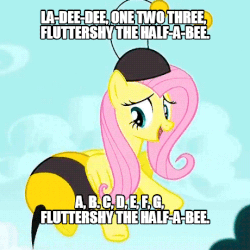 Size: 540x540 | Tagged: safe, edit, edited screencap, screencap, fluttershy, bee, pegasus, pony, g4, it ain't easy being breezies, animal costume, animated, bee costume, caption, clothes, costume, eric the half-a-bee, female, flutterbee, image macro, mare, meme, monty python, solo, text