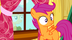 Size: 1280x720 | Tagged: safe, edit, edited screencap, screencap, scootaloo, pegasus, pony, g4, sleepless in ponyville, blank flank, clubhouse, crusaders clubhouse, curtains, female, filly, foal, grin, raised hoof, reflection, smiling, solo, spread wings, window, wings