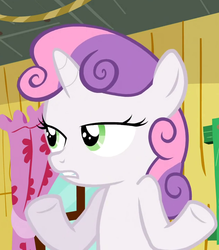 Size: 632x720 | Tagged: safe, screencap, sweetie belle, pony, unicorn, g4, sleepless in ponyville, cropped, curtains, female, filly, frown, gritted teeth, lidded eyes, shrug, so what sweetie, solo, underhoof, window
