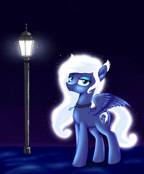Size: 2540x3080 | Tagged: safe, artist:kas92, oc, oc only, collar, high res, lamppost, night, solo