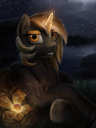Size: 1760x2337 | Tagged: safe, artist:paticzaki, oc, oc only, oc:amber, detailed, digital art, female, glowing horn, horn, lake, looking at you, lying down, magic, mare, night, smiling, solo, stars
