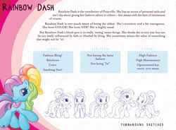 Size: 1240x912 | Tagged: safe, artist:dominique shiels, rainbow dash (g3), pony, g3, g3.5, female, mare, reference sheet, solo, text