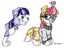 Size: 1500x1120 | Tagged: safe, artist:silversimba01, moondancer, twilight sparkle, dog, pony, unicorn, g4, border collie, clothes, collar, cute, dancerbetes, dogified, female, fluffy, grin, smiling, species swap, squee, sweater, twiabetes