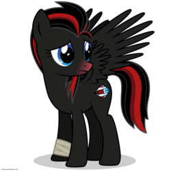 Size: 894x894 | Tagged: safe, artist:larsurus, oc, oc only, oc:dainty dish, pegasus, pony, lockheed corporation, pegasus oc, ponified, simple background, solo, sr-71 blackbird, transparent background, vector