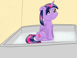 Size: 6400x4800 | Tagged: safe, artist:ampderg, twilight sparkle, alicorn, pony, g4, absurd resolution, bath, chest fluff, cute, daaaaaaaaaaaw, female, fluffy, horn, sad, solo, twiabetes, twilight sparkle (alicorn), water, wet mane, wings