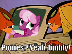 Size: 400x301 | Tagged: safe, cheerilee, g4, awesome face, brak, brony, hanna barbera, image macro, meme, sisto, space ghost, space ghost coast to coast, time for ponies