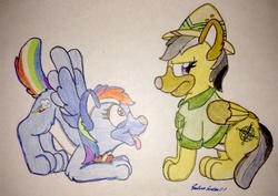 Size: 1184x840 | Tagged: safe, artist:silversimba01, daring do, rainbow dash, dog, g4, annoyed, canines, dogified, fan, fanart, female, funny, mare, rainbow dog, species swap, traditional art, winged dog