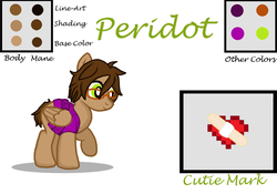 Size: 1024x718 | Tagged: safe, artist:deltafairy, oc, oc only, oc:perido, pegasus, pony, back brace, brown fur, brown mane, female, reference sheet, solo