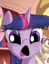 Size: 360x469 | Tagged: safe, idw, twilight sparkle, friendship is magic #15, g4, d:, oh nooooo, reaction image