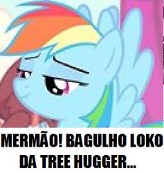 Size: 265x279 | Tagged: safe, rainbow dash, tree hugger, g4, portuguese