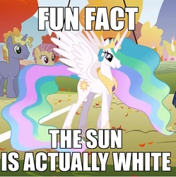 Size: 819x822 | Tagged: safe, screencap, candy mane, ponet, princess celestia, fall weather friends, g4, fun fact, image macro, meme, shown their work