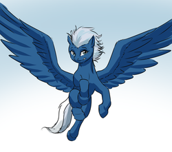 Size: 3000x2648 | Tagged: safe, artist:mykegreywolf, night glider, g4, the cutie map, female, flying, high res, hooves, large wings, mare, solo, speed draw, spread wings, sternocleidomastoid, wings