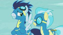 Size: 500x281 | Tagged: safe, screencap, blaze, fleetfoot, high winds, misty fly, soarin', wind rider, pegasus, pony, g4, rarity investigates, animated, discovery family, discovery family logo, female, flying, male, mare, stallion, wonderbolts