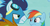 Size: 209x107 | Tagged: safe, screencap, blaze, rainbow dash, soarin', wind rider, pegasus, pony, g4, my little pony: friendship is magic, rarity investigates, cropped, faic, female, male, mare, soarin' is not amused, stallion