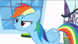 Size: 1920x1080 | Tagged: safe, screencap, rainbow dash, pony, g4, my little pony: friendship is magic, rarity investigates, cute, dashabetes, female, nose wrinkle, solo