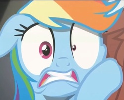 Size: 773x626 | Tagged: safe, screencap, rainbow dash, g4, rarity investigates, crazy eyes, female, reaction, reaction image, solo, stress, stressed