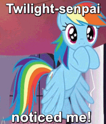 Size: 409x476 | Tagged: safe, edit, screencap, rainbow dash, twilight sparkle, g4, rarity investigates, animated, cute, dashabetes, eye shimmer, female, flapping, image macro, implied lesbian, implied shipping, implied twidash, implied twilight sparkle, meme, senpai, senpai noticed me, shipping, solo, starry eyes