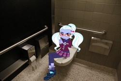 Size: 1020x680 | Tagged: safe, sugarcoat, equestria girls, g4, my little pony equestria girls: friendship games, bathroom, but why, equestria girls in real life, toilet