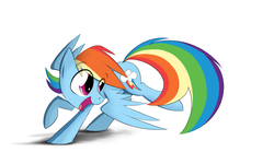 Size: 2700x1500 | Tagged: safe, artist:flamethegamer, rainbow dash, pegasus, pony, g4, chasing own tail, female, mare, simple background, solo, spread wings, white background, wings