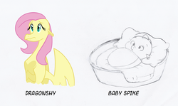 Size: 900x536 | Tagged: safe, artist:queencold, fluttershy, dragon, g4, baby dragon, baby spike, basket, dragoness, dragonified, flutterdragon, sketch, teenaged dragon