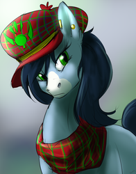 Size: 1024x1303 | Tagged: safe, artist:oblivionheart13, oc, oc only, oc:mad munchkin, earth pony, pony, cap, clothes, hat, scarf, solo