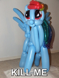 Size: 774x1032 | Tagged: safe, rainbow dash, g4, balloon animal, image macro, kill me, meme