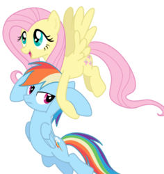 Size: 573x626 | Tagged: safe, artist:ahumeniy, fluttershy, rainbow dash, g4, may the best pet win, .svg available, simple background, svg, transparent background, vector