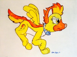 Size: 1086x810 | Tagged: safe, artist:silversimba01, spitfire, dog, g4, dogified, female, solo, species swap, traditional art, winged dog, wonderbolts
