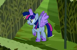 Size: 494x324 | Tagged: safe, screencap, derpy hooves, pegasus, pony, g4, scare master, season 5, alicorn costume, clothes, costume, derpicorn, fake horn, fake wings, female, frown, implied twilight sparkle, mare, nightmare night costume, open mouth, race swap, raised hoof, seems legit, solo, spread wings, toilet paper roll, toilet paper roll horn, twilight muffins, twilight sparkle costume, wig