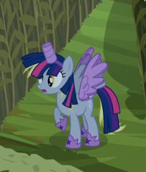 Size: 244x287 | Tagged: safe, screencap, derpy hooves, twilight sparkle, alicorn, pony, g4, scare master, alicorn costume, clothes, cosplay, costume, disguise, fake horn, fake wings, female, frown, mare, nightmare night, nightmare night costume, open mouth, paper-thin disguise, raised hoof, solo, spread wings, toilet paper roll, toilet paper roll horn, twilight muffins, twilight sparkle (alicorn), wig