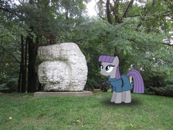 Size: 864x648 | Tagged: safe, artist:masem, artist:thedoubledeuced, maud pie, g4, happy, irl, photo, ponies in real life, rock, sculpture, solo, vector