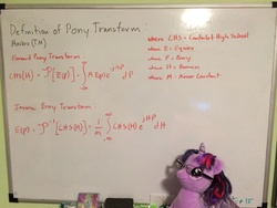 Size: 3264x2448 | Tagged: safe, derpy hooves, twilight sparkle, pegasus, pony, g4, build-a-bear, female, fourier transform, glasses, high res, mare, math, science, twilight sparkle plushie, whiteboard