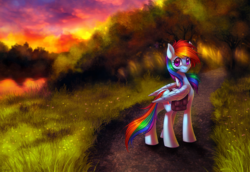 Size: 1168x804 | Tagged: safe, artist:limreiart, rainbow dash, g4, backwards cutie mark, female, saddle bag, solo