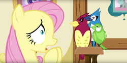 Size: 1899x943 | Tagged: safe, screencap, fluttershy, bird, blue jay, pony, songbird, g4, scare master, chickadee (bird), female, mare, nervous, open mouth, worried