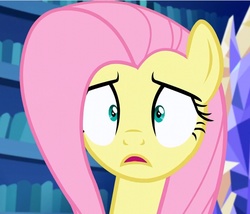 Size: 1079x922 | Tagged: safe, screencap, fluttershy, pegasus, pony, g4, scare master, season 5, female, i've seen some shit, mare, solo