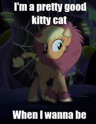 Size: 540x700 | Tagged: safe, screencap, applejack, g4, scare master, applecat, applelion, clothes, costume, female, image macro, meme, solo