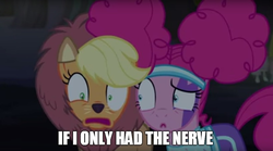 Size: 818x454 | Tagged: dead source, safe, edit, edited screencap, screencap, applejack, pinkie pie, earth pony, pony, g4, my little pony: friendship is magic, scare master, applelion, caption, clothes, cowardly lion, female, image macro, mare, meme, nightmare night, the wizard of oz