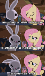 Size: 605x1023 | Tagged: safe, screencap, angel bunny, fluttershy, g4, scare master, angel is a bunny bastard, evil, evil grin, grin, image macro, meme, pinky and the brain, smiling