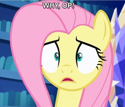 Size: 1079x922 | Tagged: safe, edit, edited screencap, screencap, fluttershy, g4, scare master, female, image macro, meme, solo, why op why