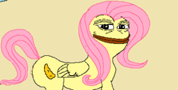 Size: 383x195 | Tagged: safe, fluttershy, g4, pepe the frog, smug, wat