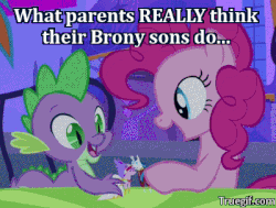 Size: 400x302 | Tagged: safe, edit, edited screencap, screencap, pinkie pie, princess cadance, shining armor, spike, a canterlot wedding, g4, animated, brony, cropped, doll, duo focus, female, image macro, kissing, kissy face, male, meme, offscreen character, playing, ship:shiningcadance, shipping, straight, swag, toy