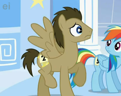 Size: 414x330 | Tagged: safe, screencap, doctor whooves, rainbow dash, time turner, pegasus, pony, g4, sonic rainboom (episode), cropped, male, stallion