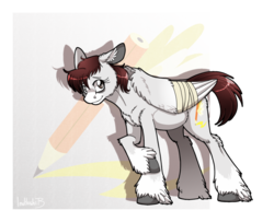 Size: 1024x832 | Tagged: safe, artist:inuhoshi-to-darkpen, oc, oc only, oc:white canvas, pegasus, pony, bandage, bandaged wing, feathered fetlocks, female, mare, ponysona, shy, solo, unshorn fetlocks