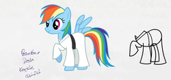 Size: 1264x593 | Tagged: safe, rainbow dash, pegasus, pony, call of the cutie, g4, my little pony: friendship is magic, leak, concept art, female, gi, karate, mare, spread wings, wings