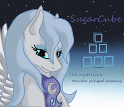 Size: 1024x884 | Tagged: safe, artist:silverfangwrathwolf1, oc, oc only, oc:sugarcube, pegasus, pony, four wings, multiple wings, solo, wings