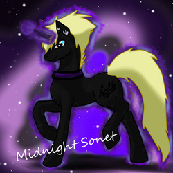 Size: 1000x1000 | Tagged: safe, artist:silverfangwrathwolf1, oc, oc only, oc:midnight sonet, pony, unicorn, solo