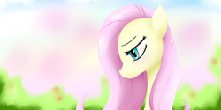 Size: 4000x2000 | Tagged: safe, artist:dashy21, fluttershy, g4, female, solo