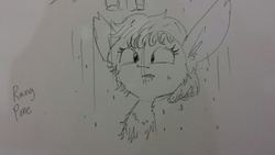 Size: 1280x720 | Tagged: safe, artist:tjpones, oc, oc only, bat pony, pony, monochrome, rain, solo, traditional art, wet