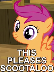 Size: 480x640 | Tagged: safe, edit, edited screencap, screencap, scootaloo, appleoosa's most wanted, g4, caption, female, image macro, looking at you, pleased, reaction image, smiling, solo