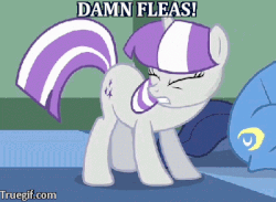 Size: 400x292 | Tagged: safe, edit, edited screencap, screencap, twilight velvet, g4, the cutie mark chronicles, animated, cropped, eyes closed, female, fleas, gritted teeth, horses doing horse things, image macro, male, meme, shake, shaking, solo focus
